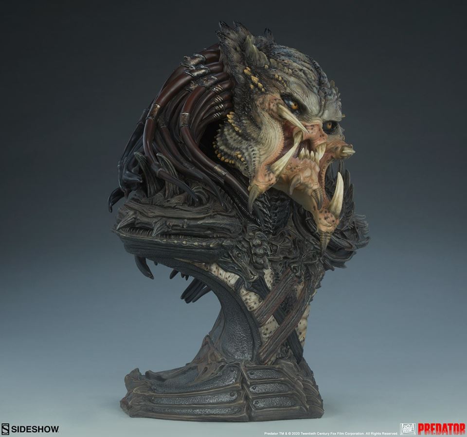 19-inch Predator Bust