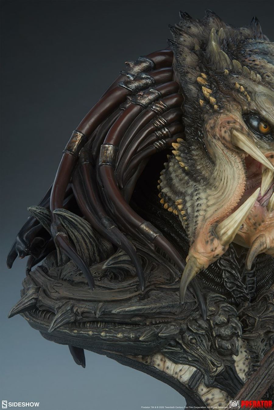 19-inch Predator Bust