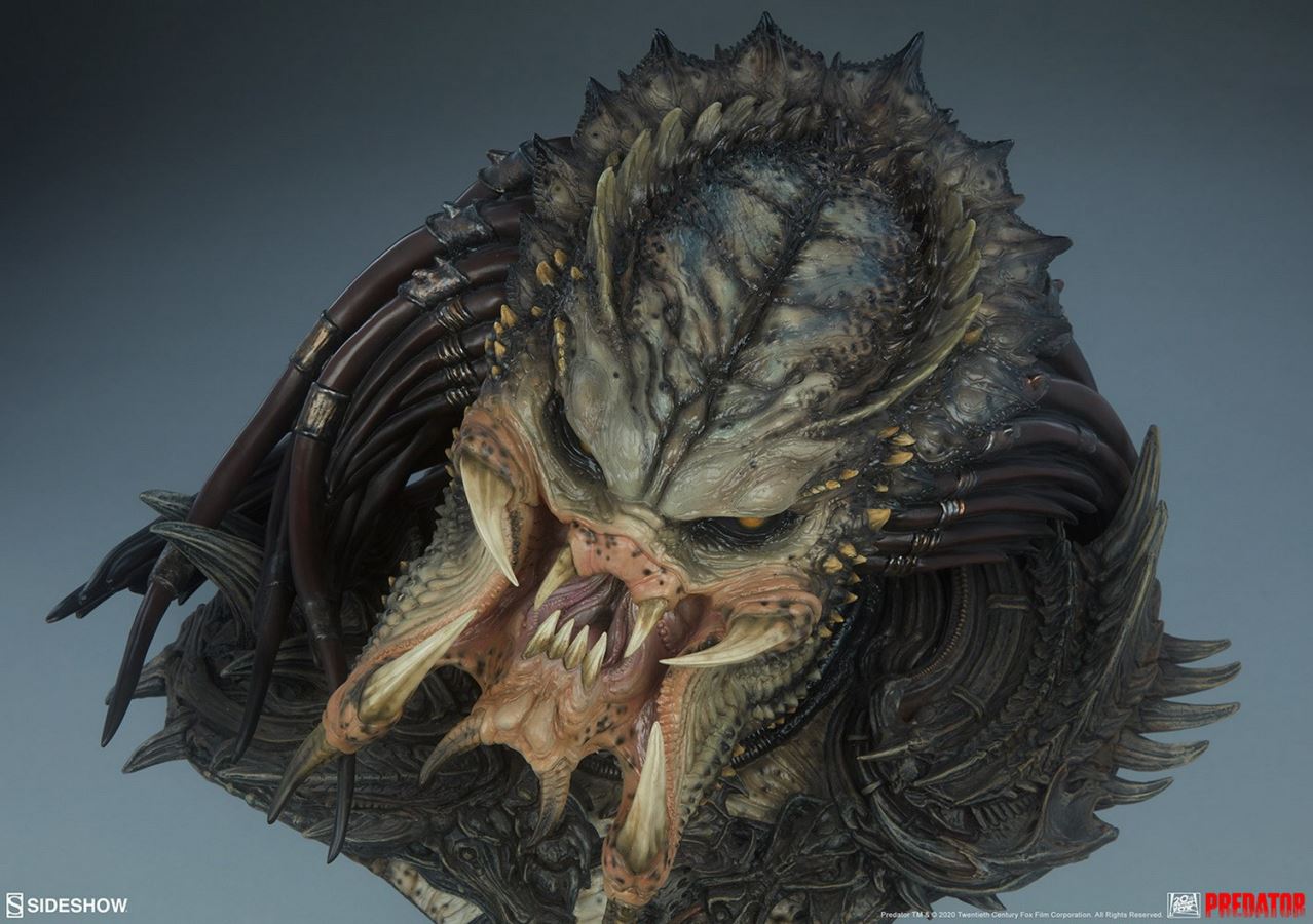 19-inch Predator Bust