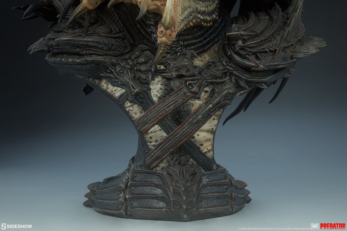 19-inch Predator Bust