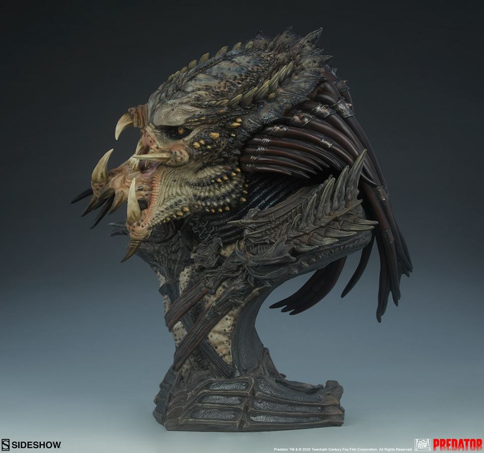 19-inch Predator Bust