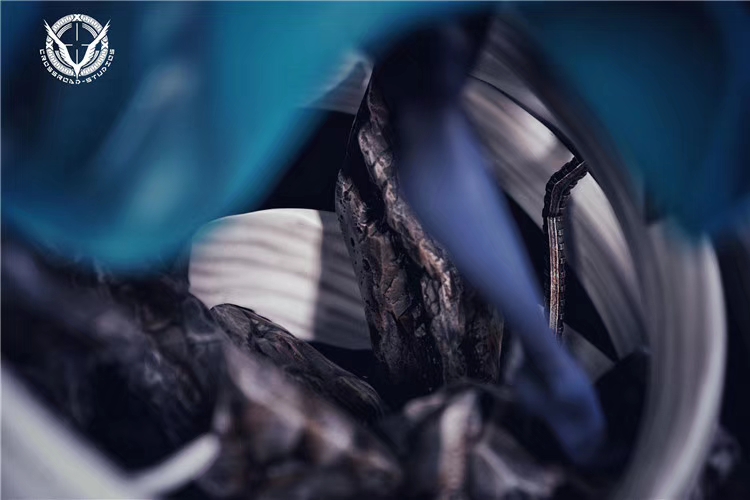 Fubuki Blizzard of Hell