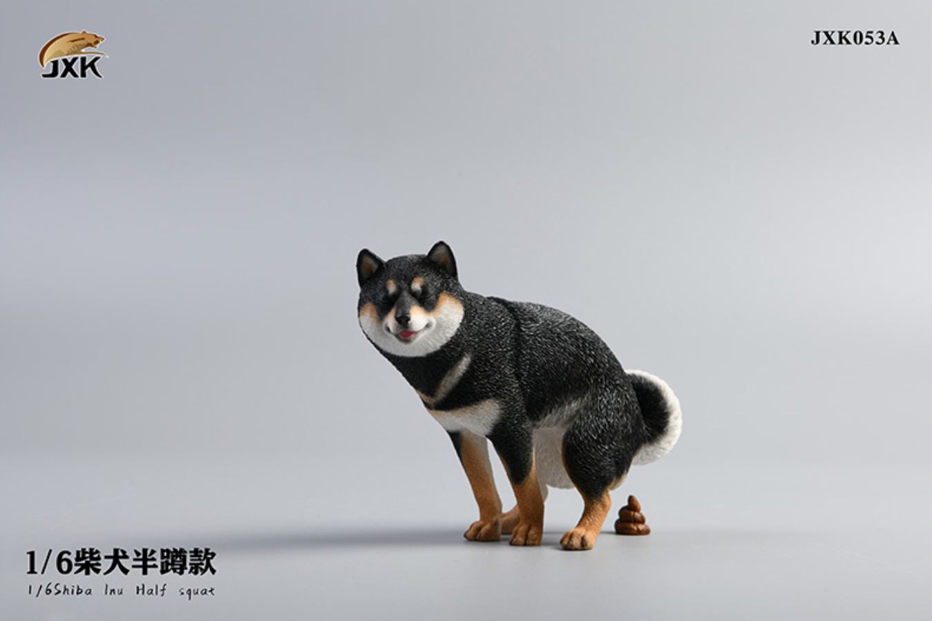 Shiba Inu squat/leg raise posture 1/6