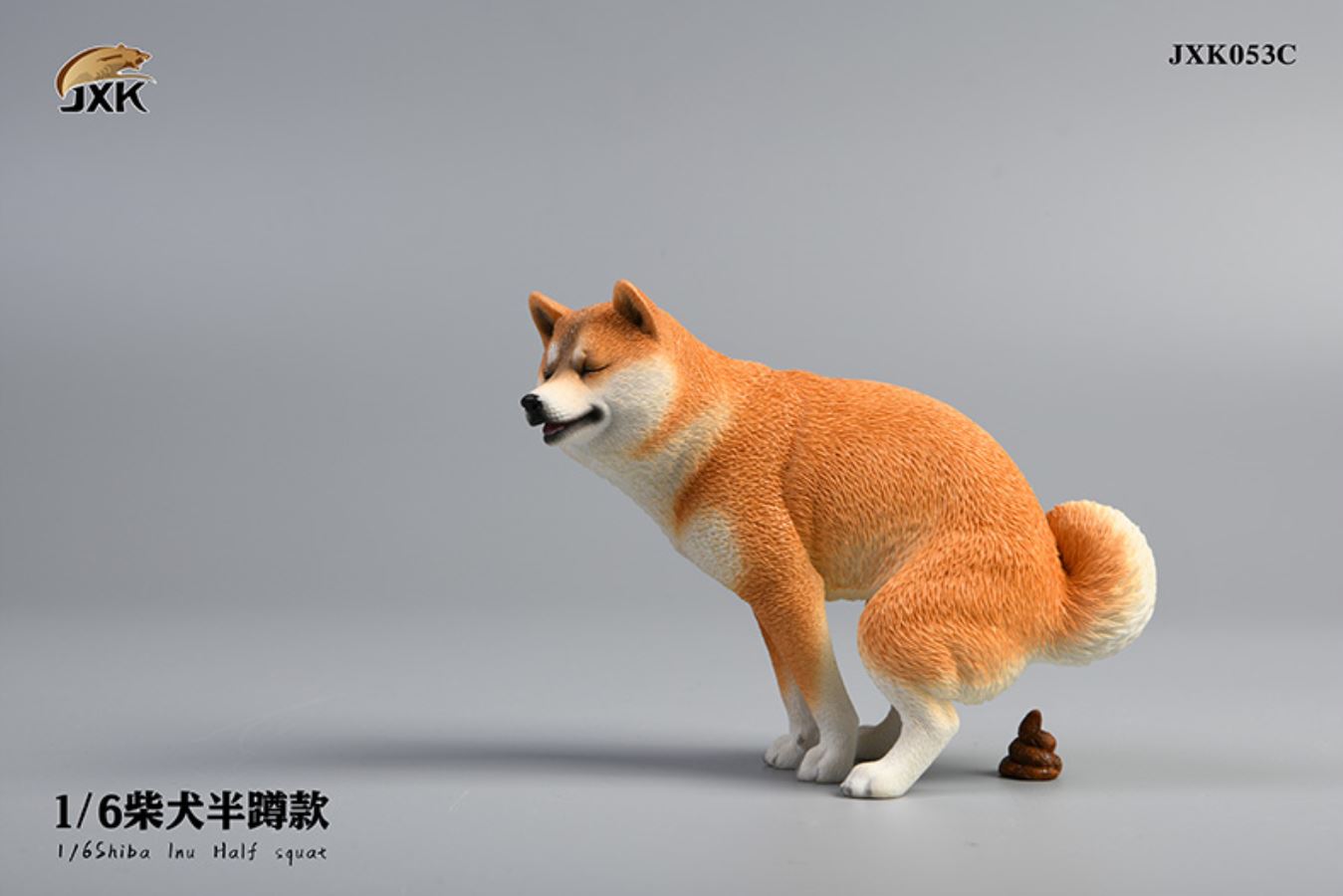 Shiba Inu squat/leg raise posture 1/6