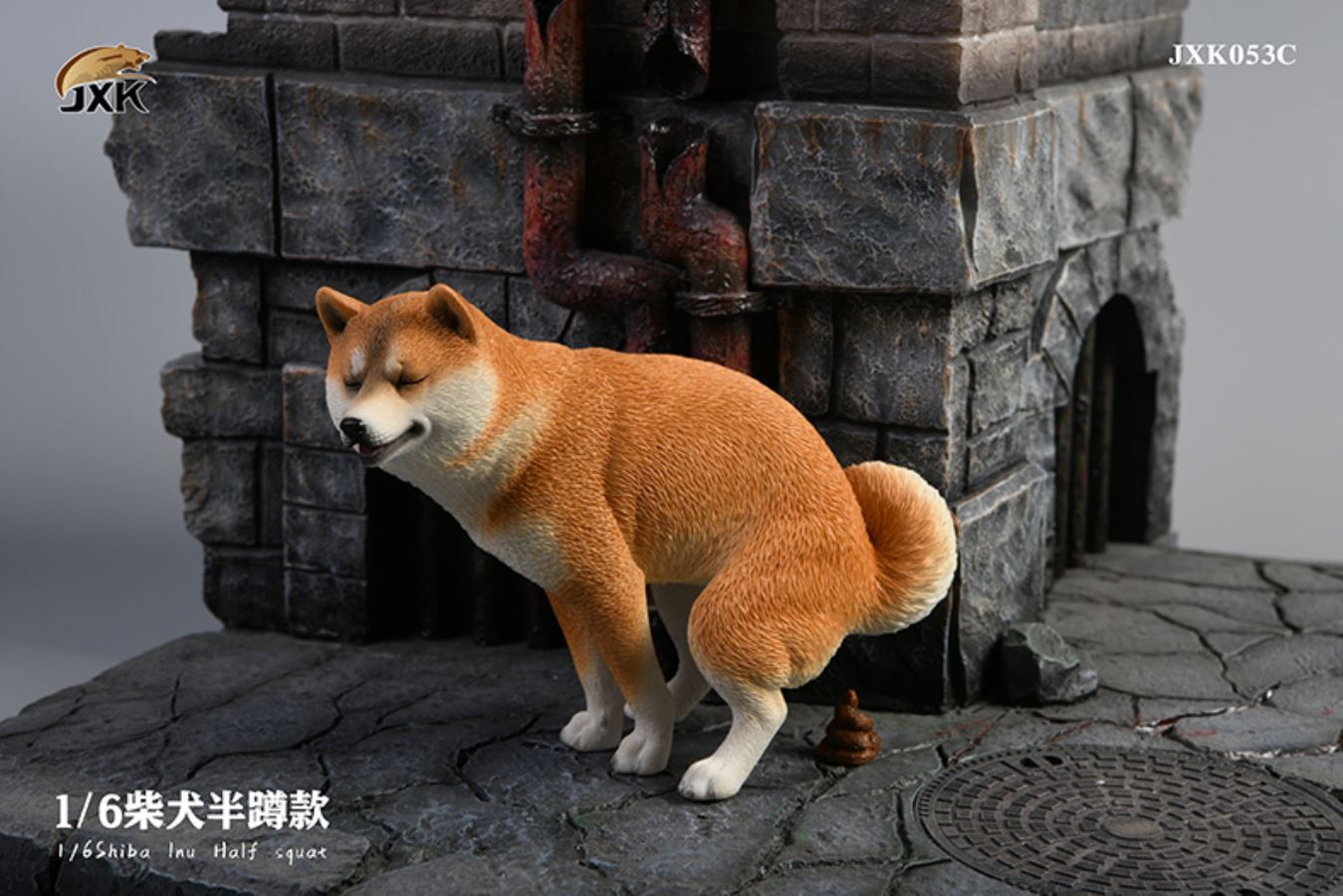 Shiba Inu squat/leg raise posture 1/6