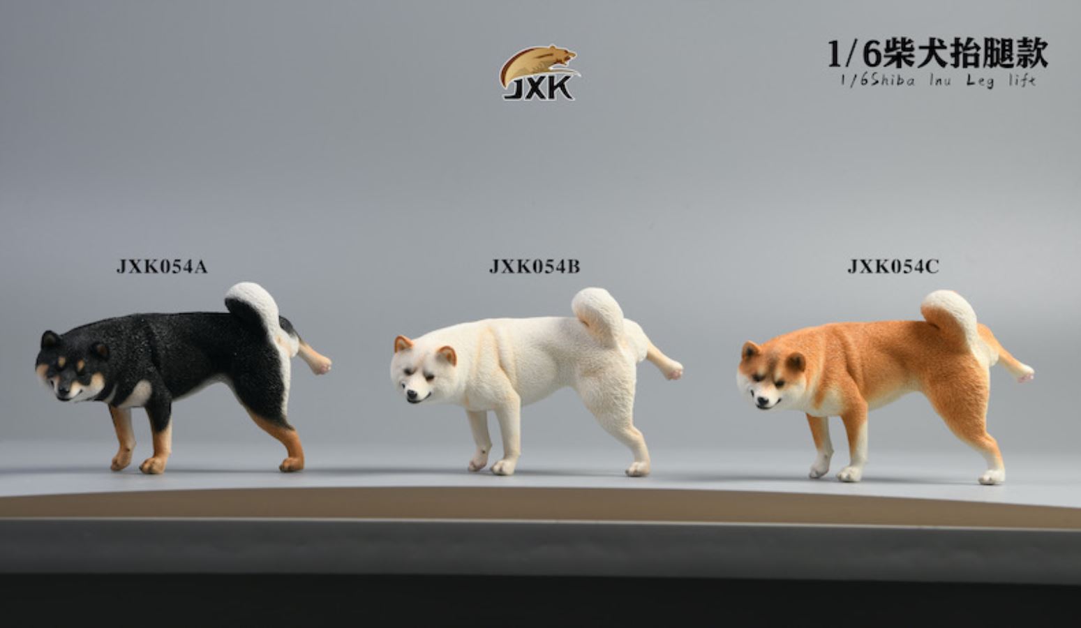 Shiba Inu squat/leg raise posture 1/6