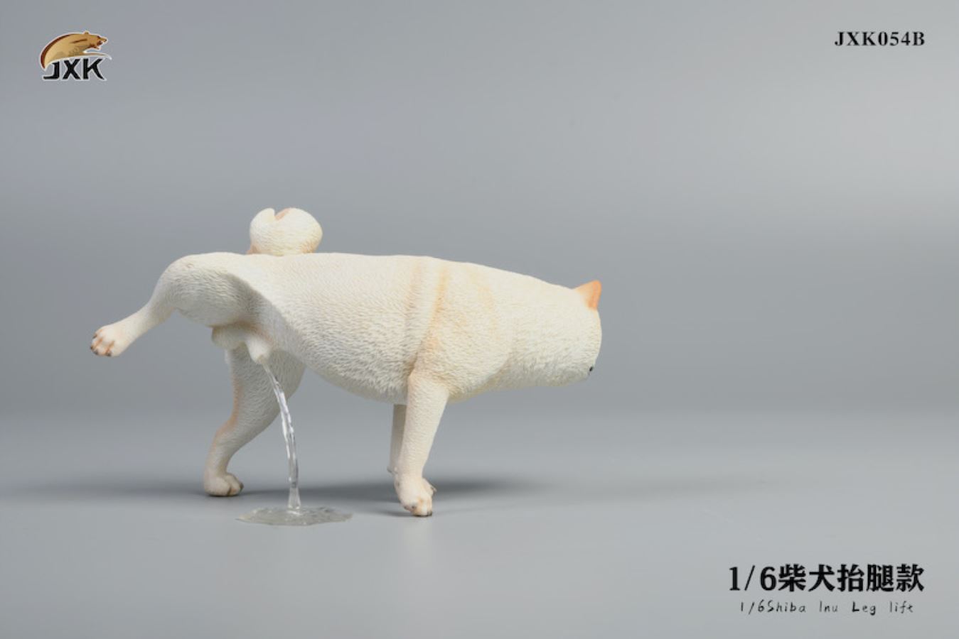 Shiba Inu squat/leg raise posture 1/6