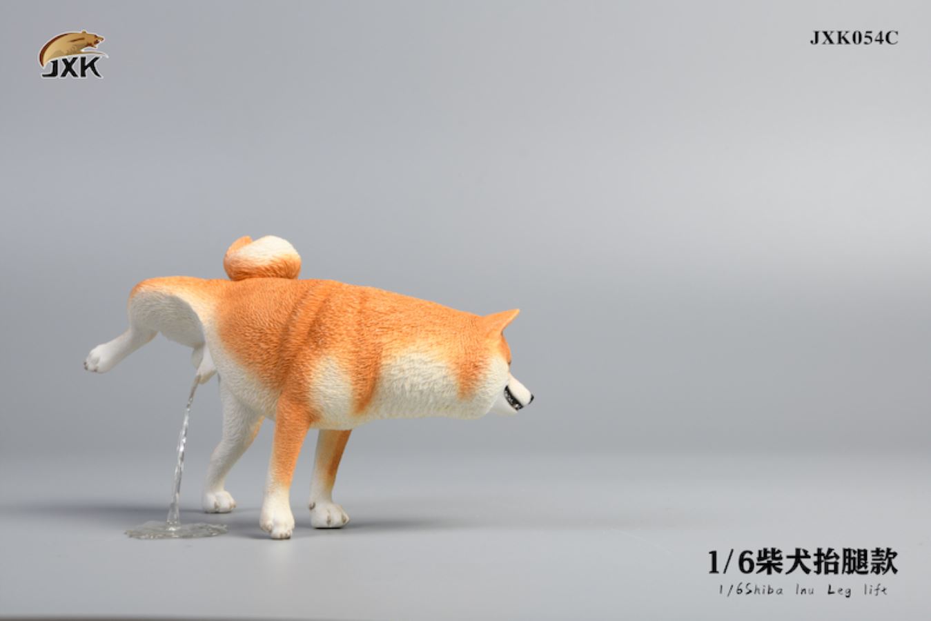 Shiba Inu squat/leg raise posture 1/6