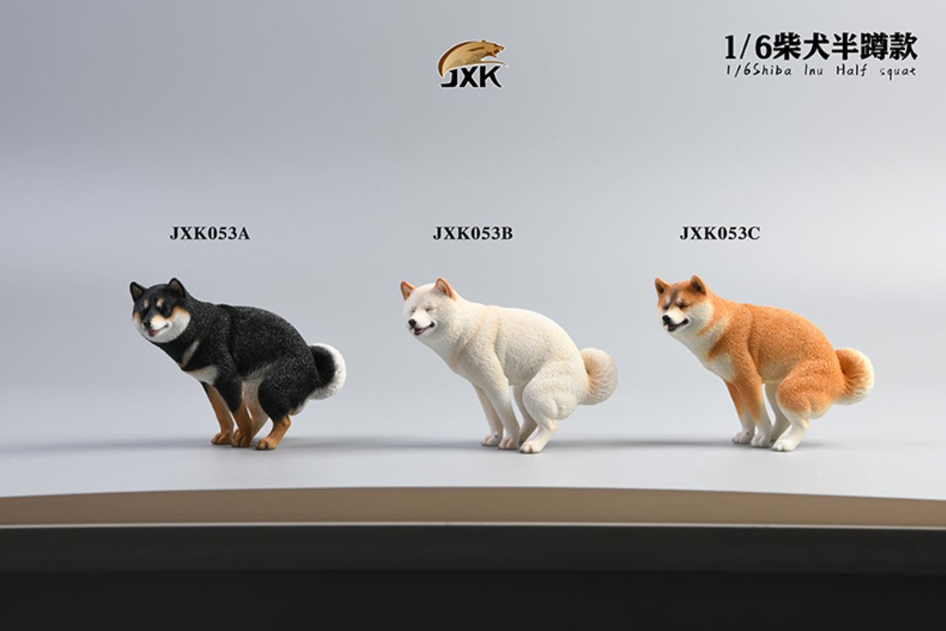 Shiba Inu squat/leg raise posture 1/6