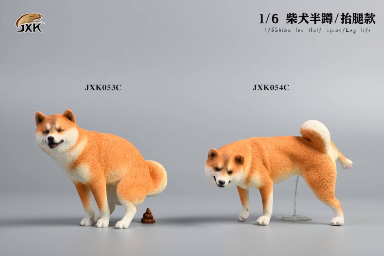 Shiba Inu squat/leg raise posture 1/6