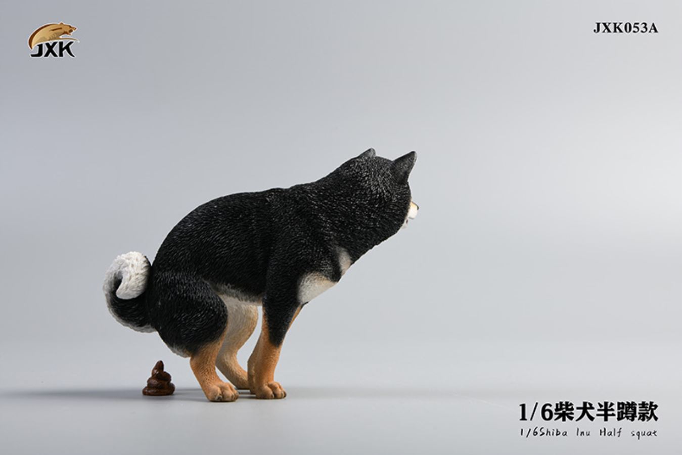 Shiba Inu squat/leg raise posture 1/6