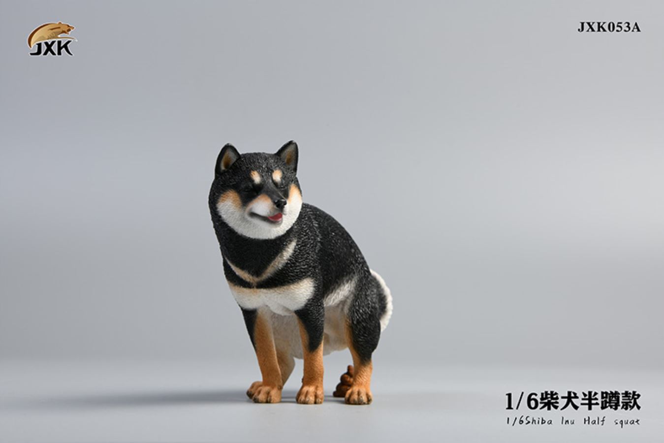 Shiba Inu squat/leg raise posture 1/6