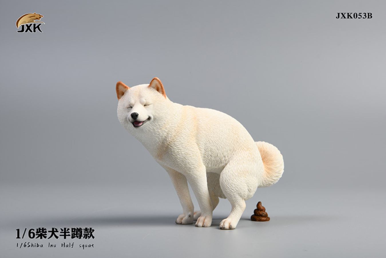 Shiba Inu squat/leg raise posture 1/6