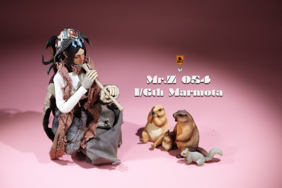 Marmota 1/6
