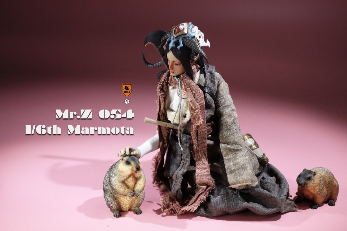 Marmota 1/6