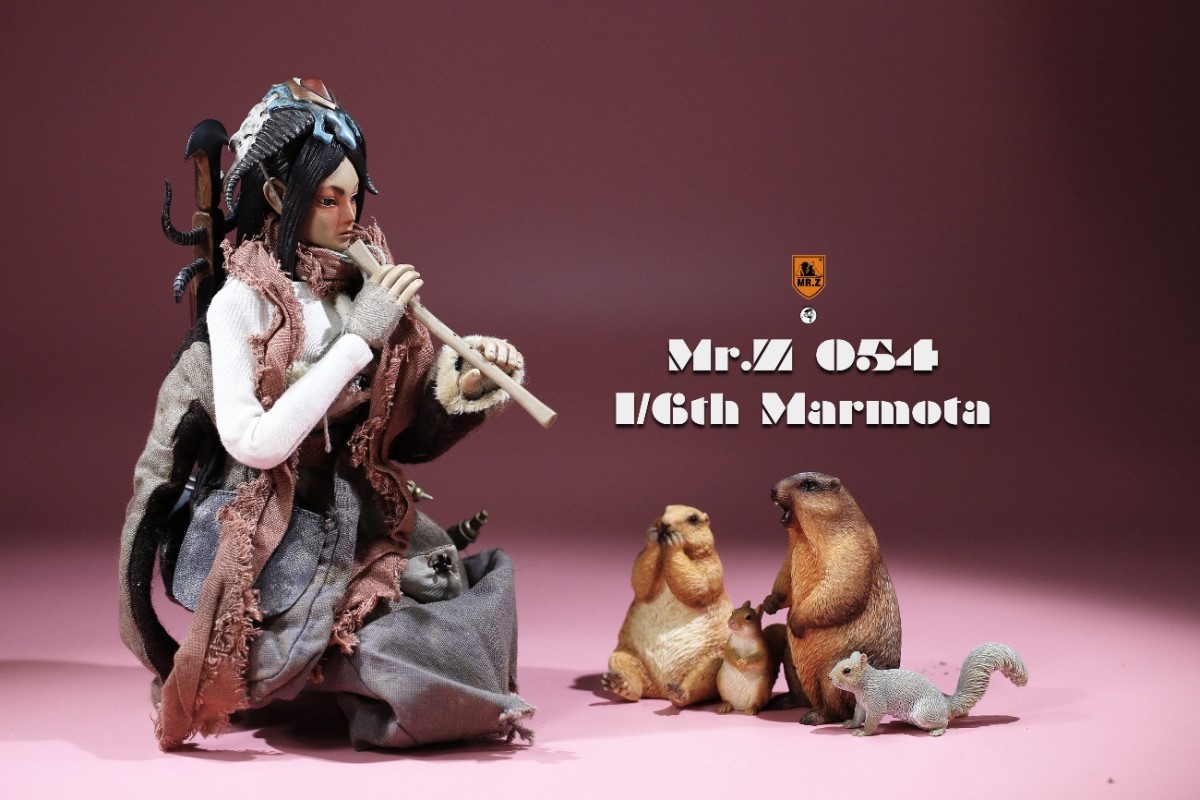Marmota 1/6