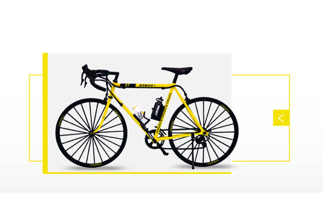 ROMEO Tour de France bike 1/6