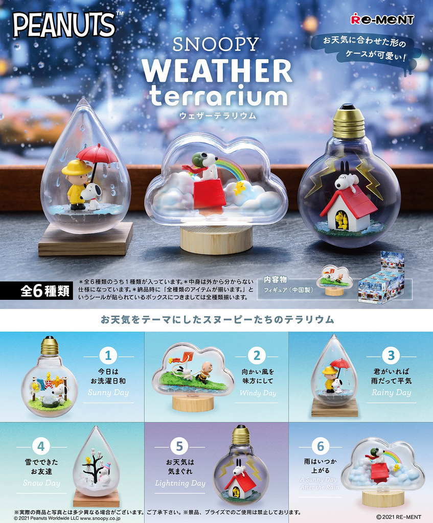 SNOOPY WEATHER Terrarium