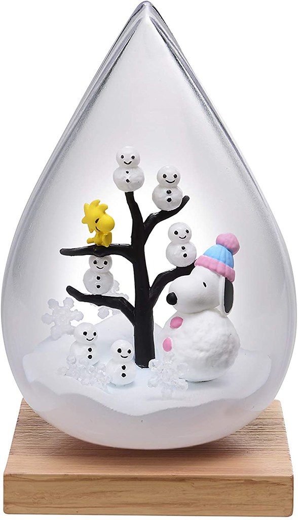 SNOOPY WEATHER Terrarium