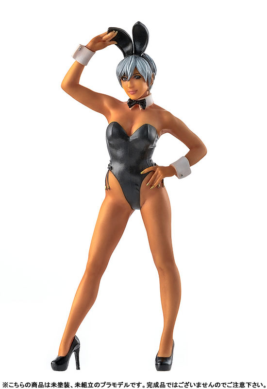 PLAMAX MF-47 minimum factory non Bunny Girl & Anubis Costume 1/20 Plastic Model