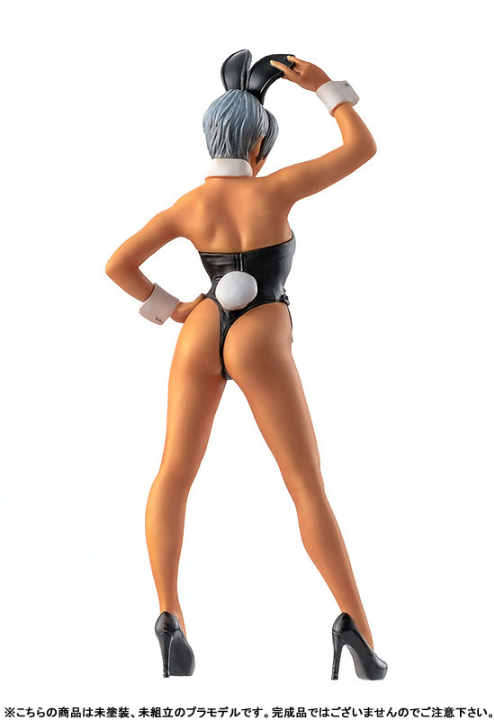 PLAMAX MF-47 minimum factory non Bunny Girl & Anubis Costume 1/20 Plastic Model