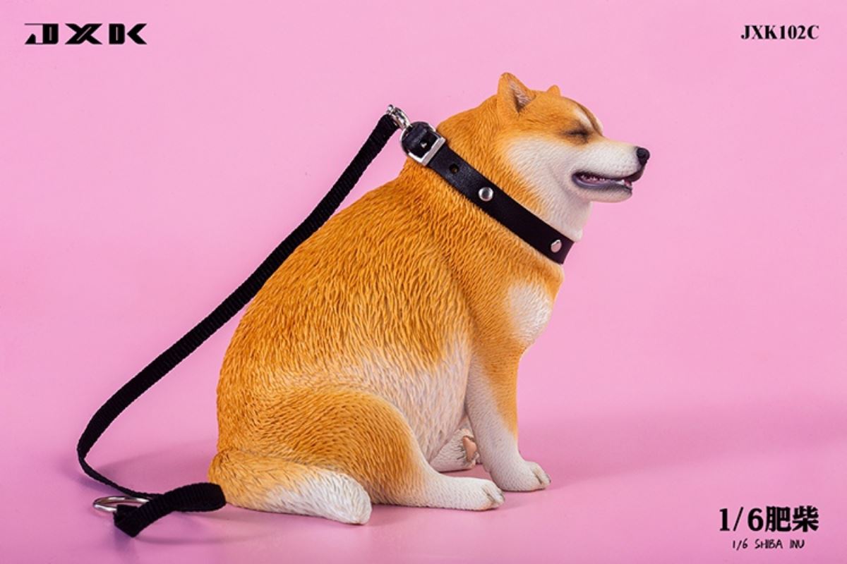 Shiba Inu 1/6