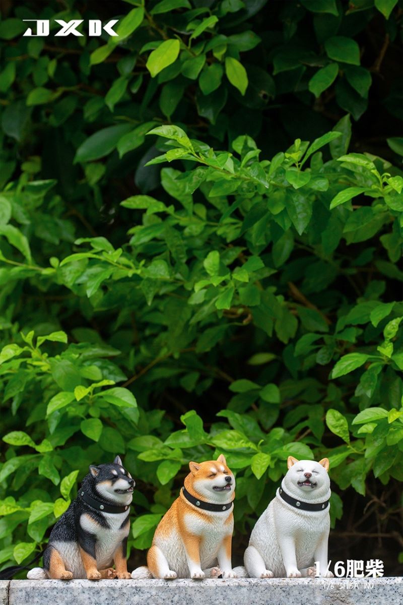 Shiba Inu 1/6