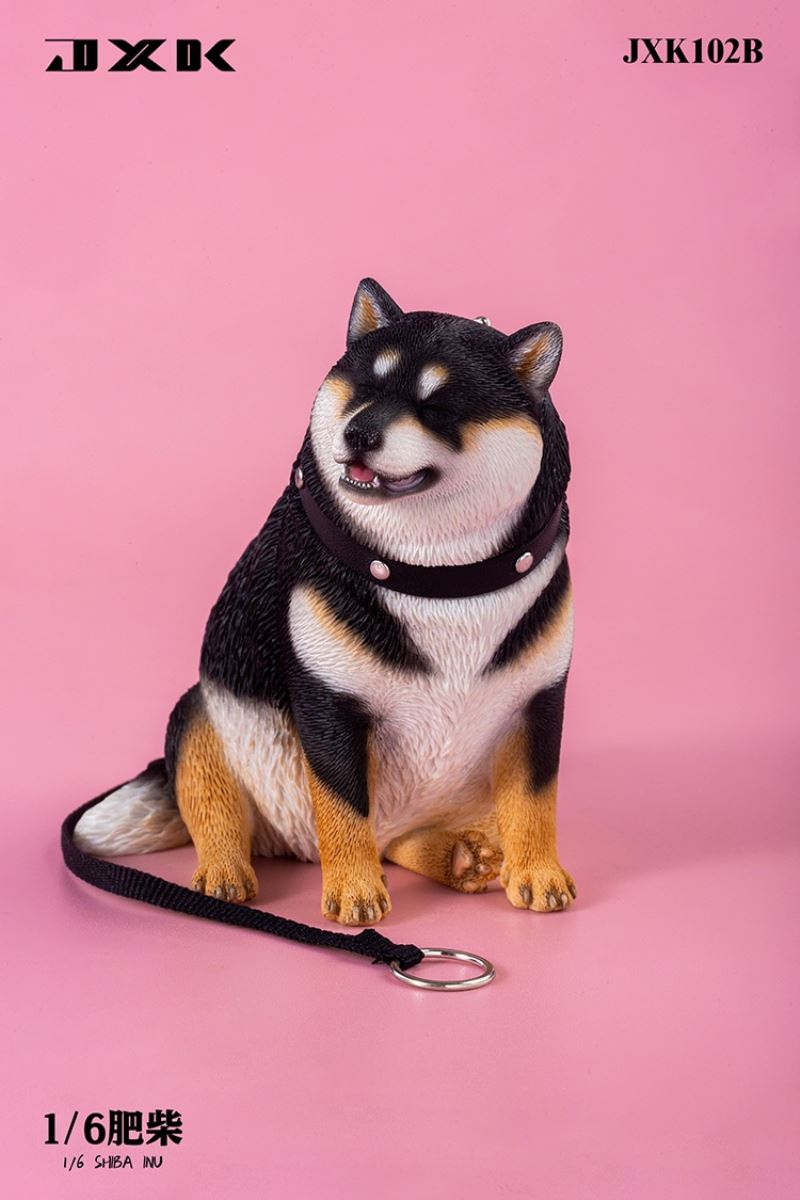Shiba Inu 1/6