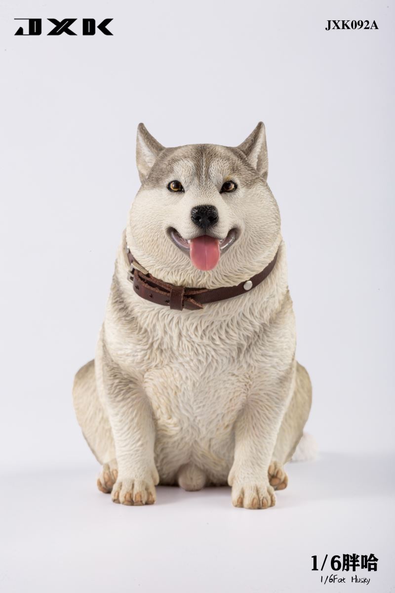Fat Husky 1/6