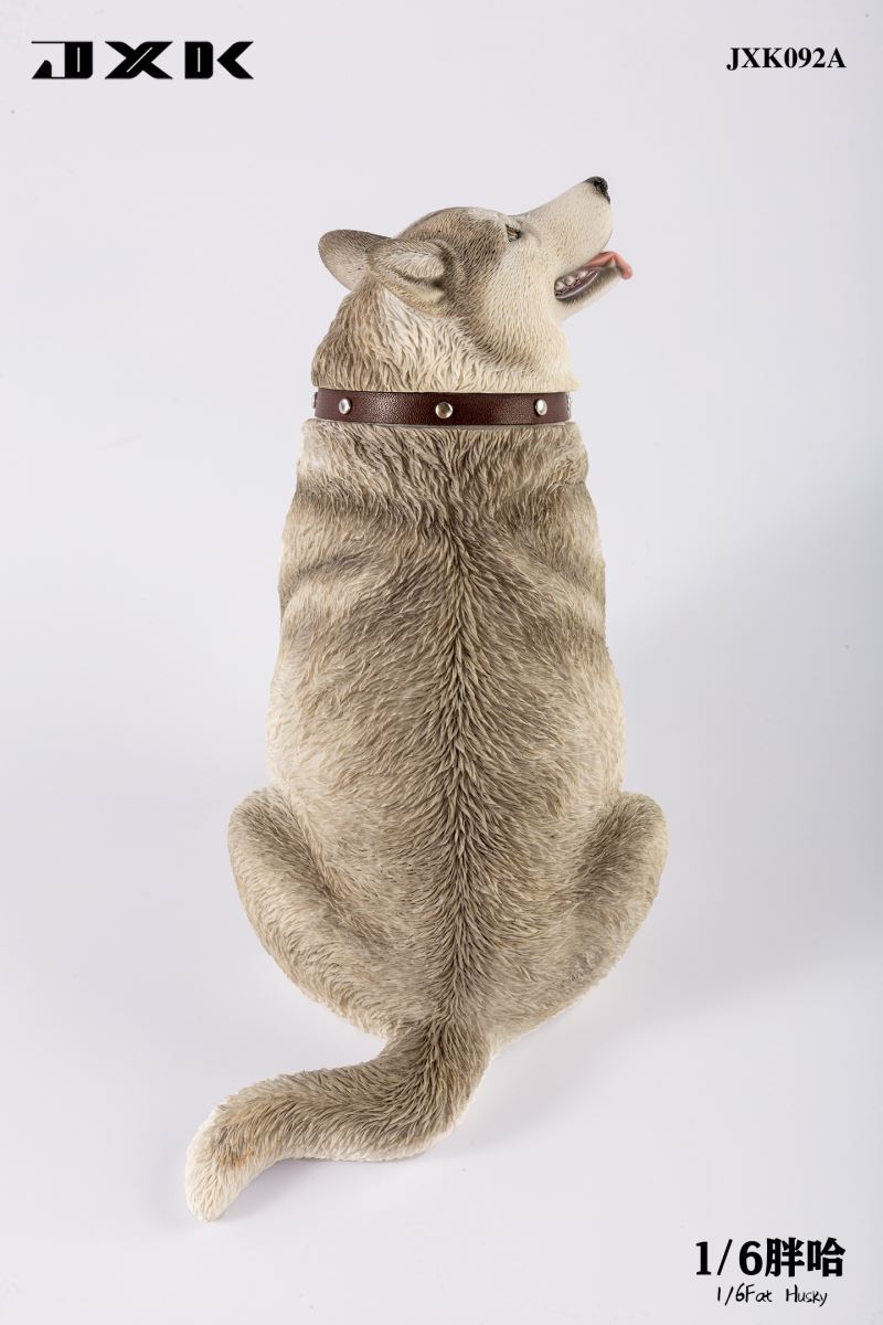 Fat Husky 1/6