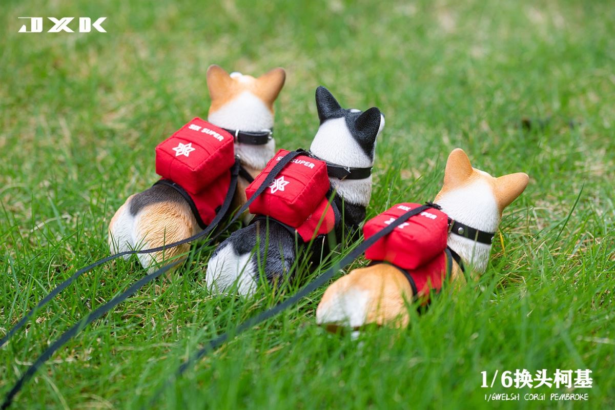 Welsh Corgi Pembroke 1/6
