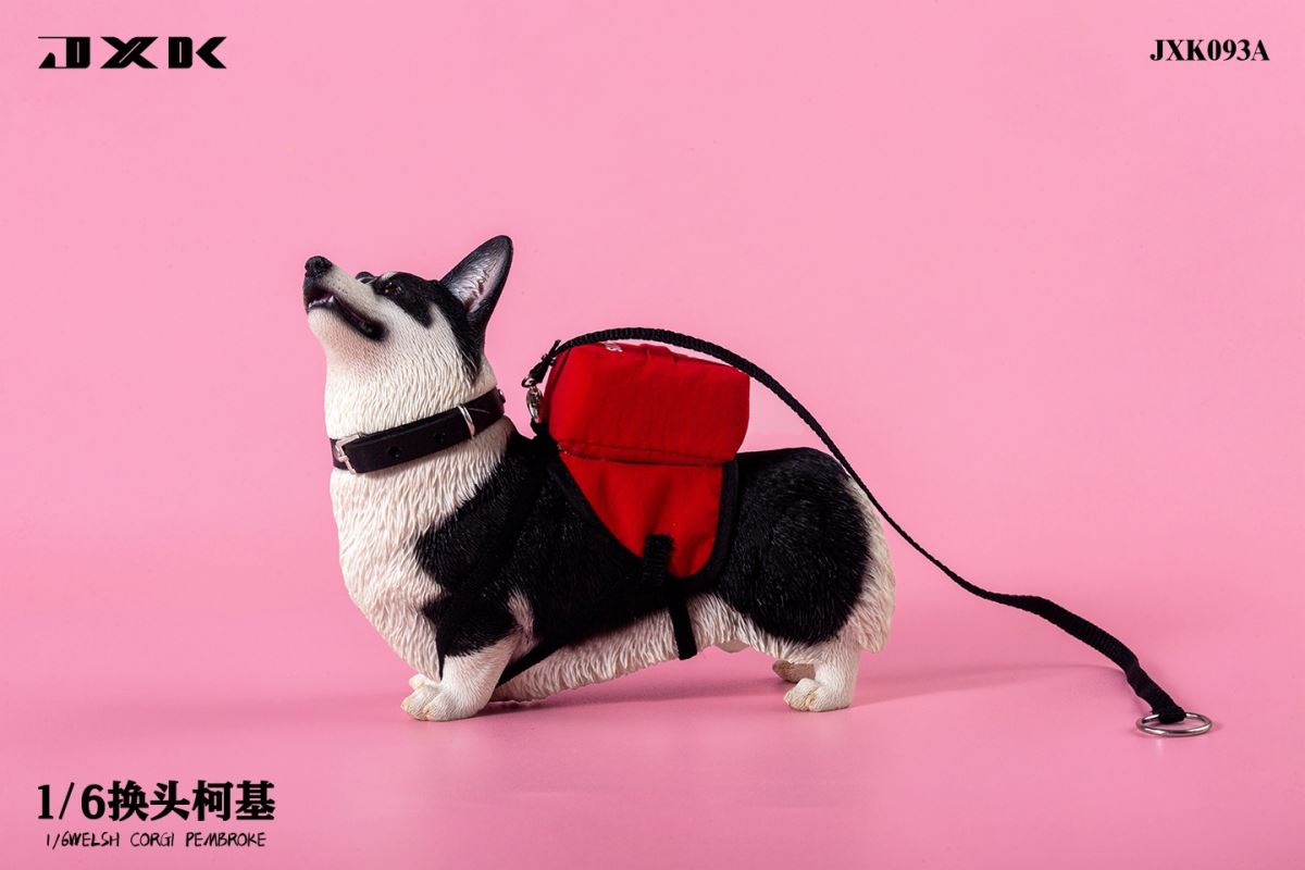 Welsh Corgi Pembroke 1/6