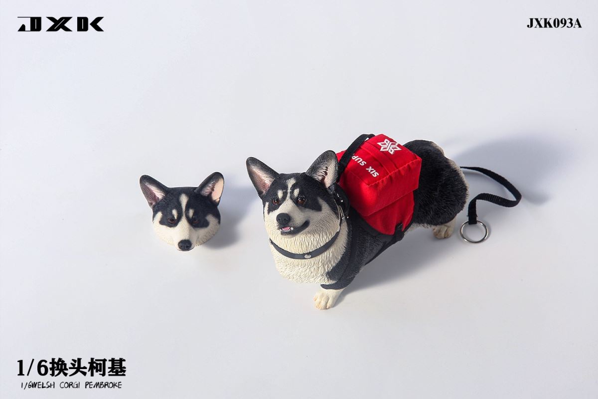 Welsh Corgi Pembroke 1/6