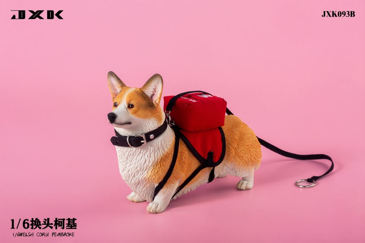 Welsh Corgi Pembroke 1/6