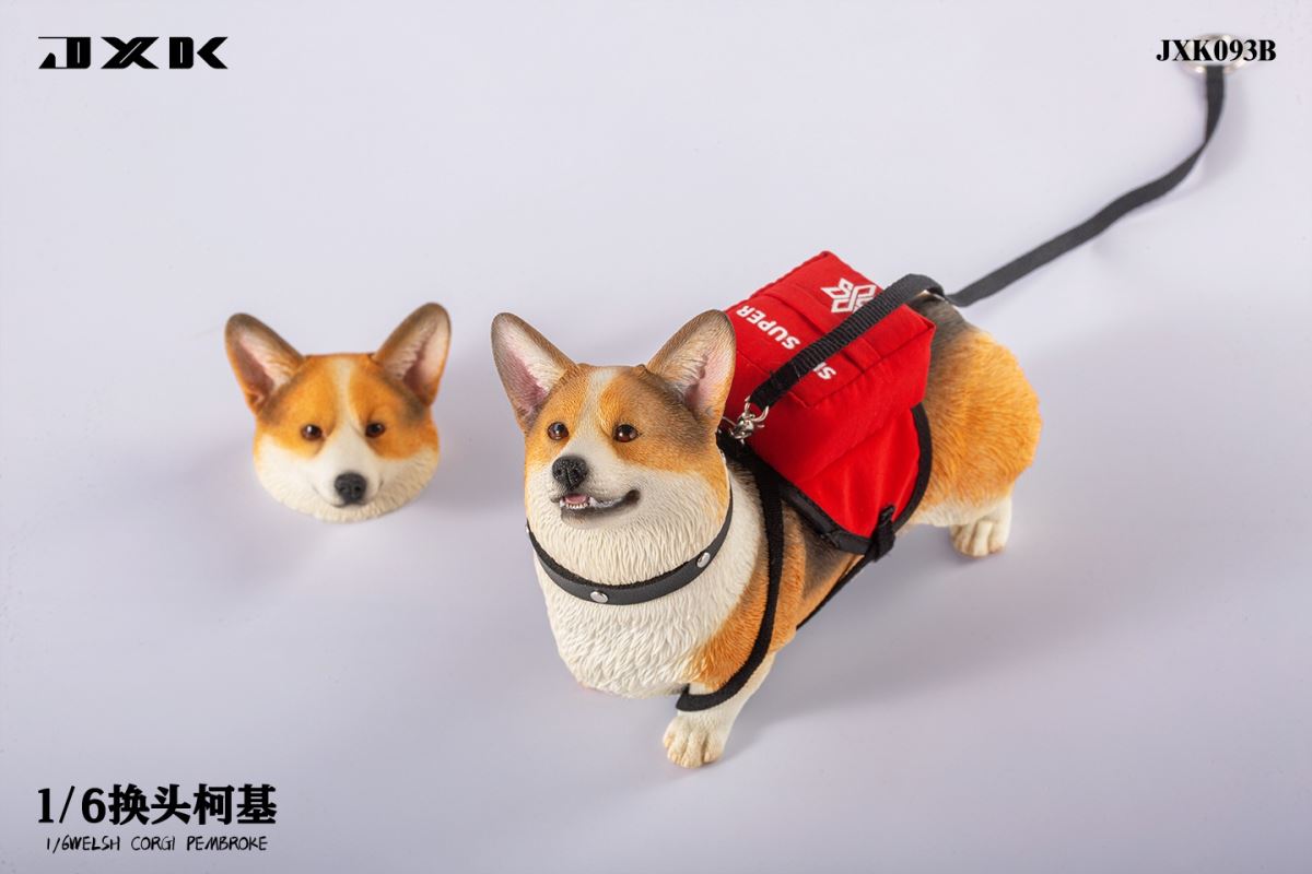 Welsh Corgi Pembroke 1/6