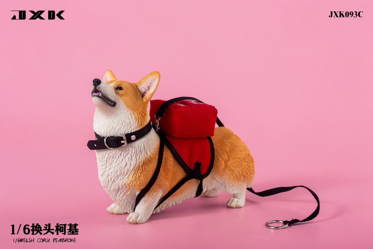 Welsh Corgi Pembroke 1/6