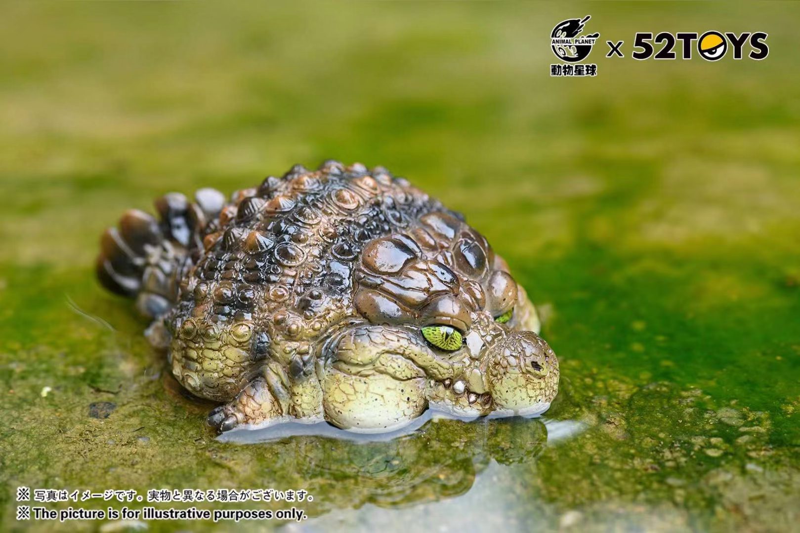 Nile Crocodile