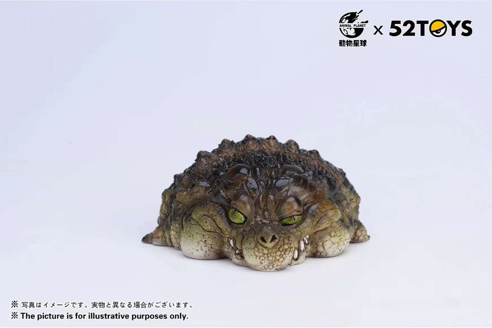 Nile Crocodile