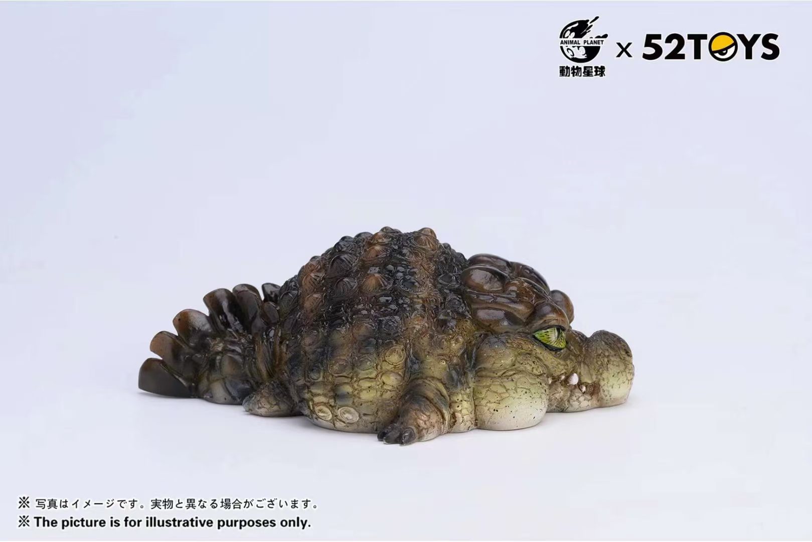 Nile Crocodile