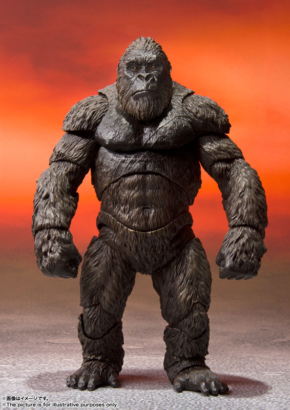 S.H.MonsterArts KONG from Movie (GODZILLA VS. KONG) 2021