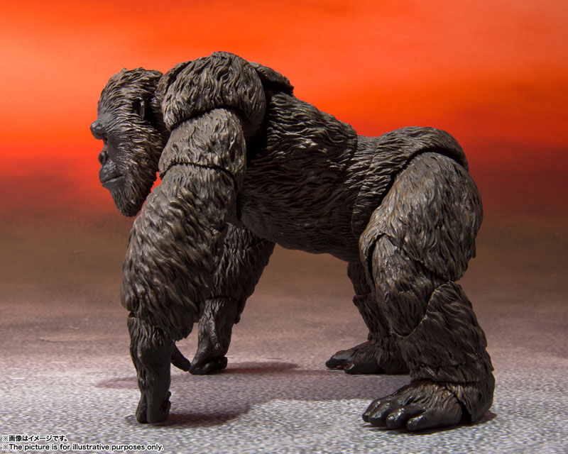 S.H.MonsterArts KONG from Movie (GODZILLA VS. KONG) 2021