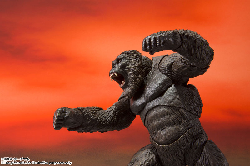 S.H.MonsterArts KONG from Movie (GODZILLA VS. KONG) 2021