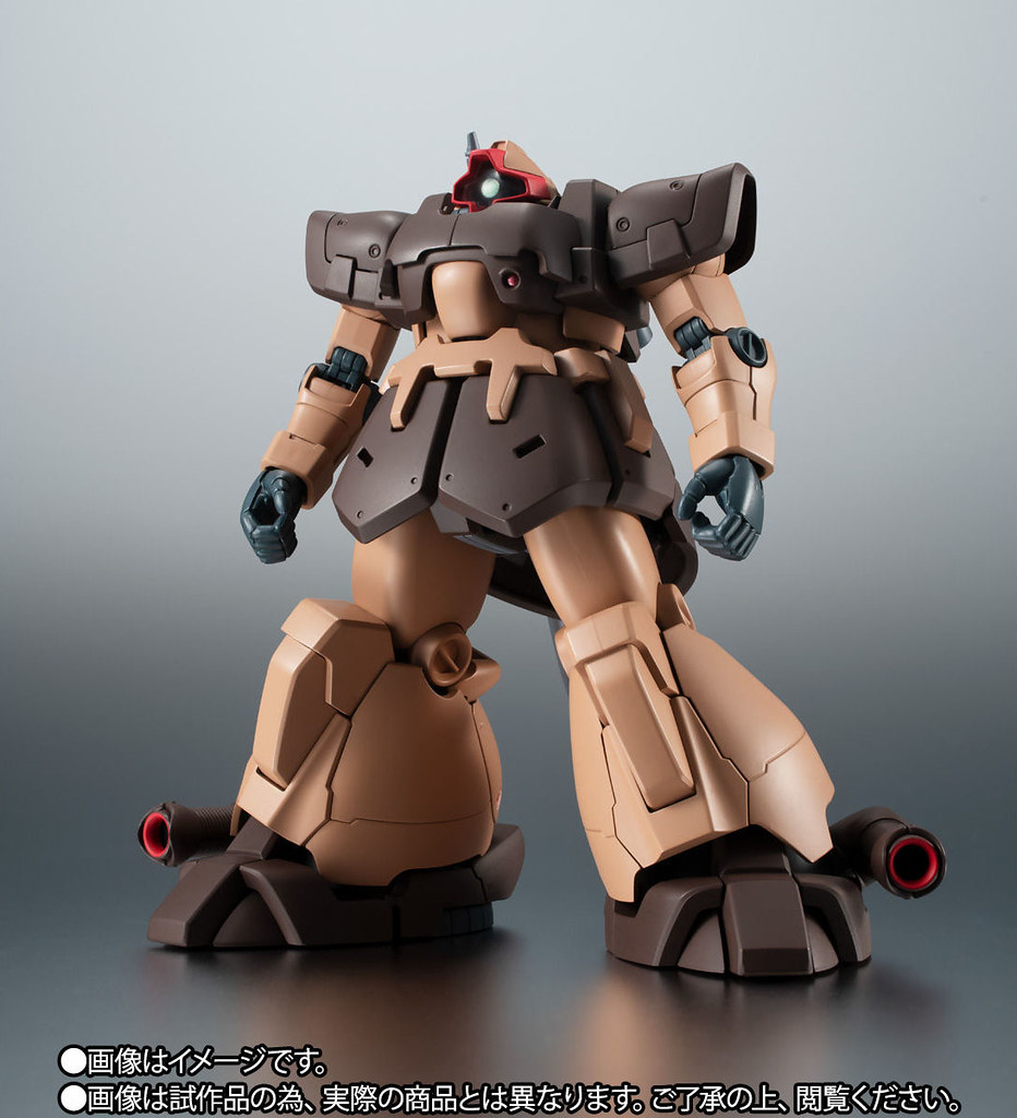ROBOT SPIRIT <SIDE MS> MS-09F ver. ANIME