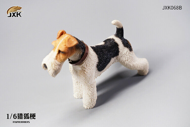 JXK068 - Foxterriers 1/6