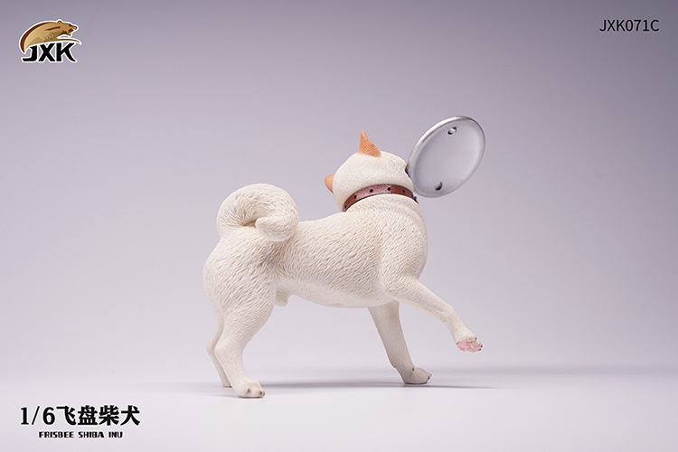 Frisbee Shiba Inu and Football 1/6