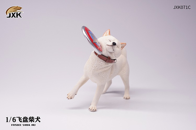 Frisbee Shiba Inu and Football 1/6