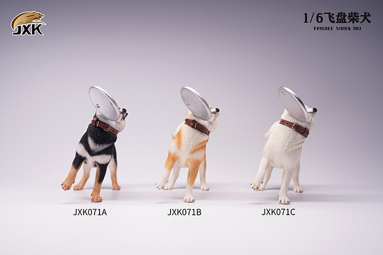 Frisbee Shiba Inu and Football 1/6