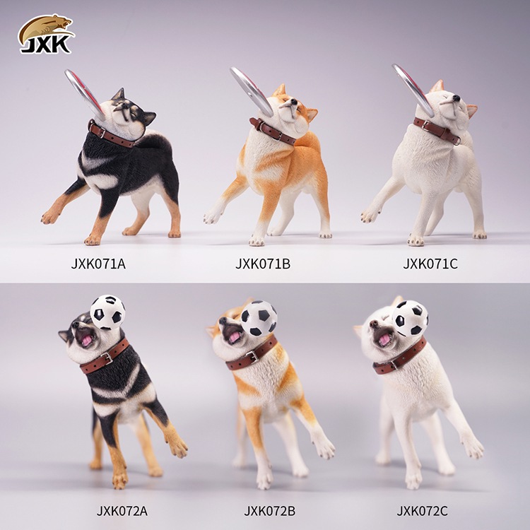 Frisbee Shiba Inu and Football 1/6