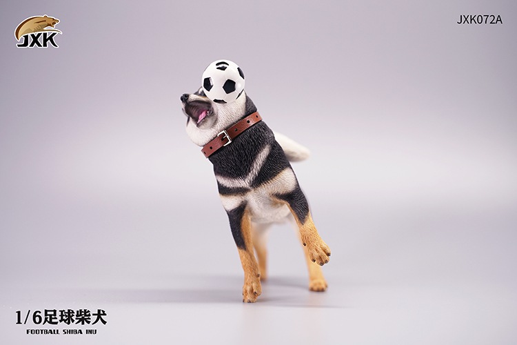 Frisbee Shiba Inu and Football 1/6