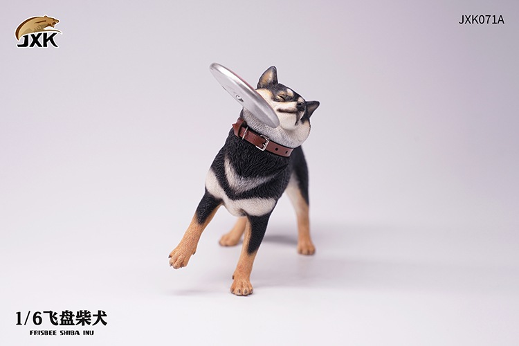 Frisbee Shiba Inu and Football 1/6